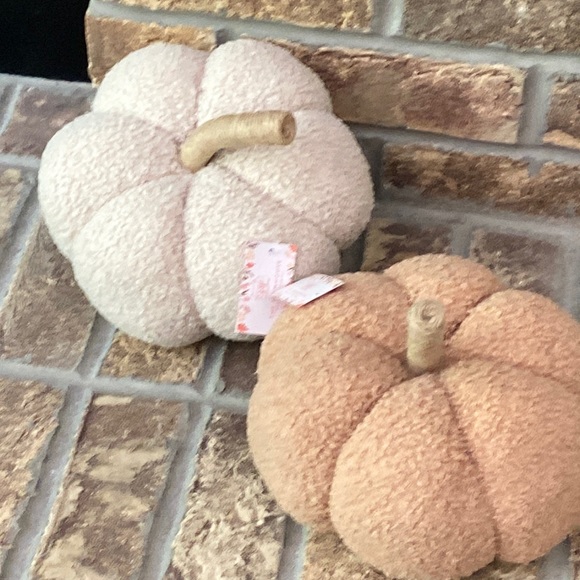 NEW! Fall Harvest FARMHOUSE Cottage Sherpa Peach & Cream Autumn Pumpkin Pillow - Picture 9 of 11